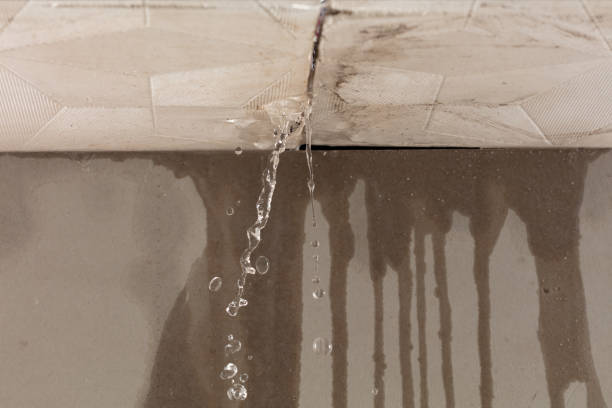 Professional Water Damage Inspection technician working in Poteet, TX